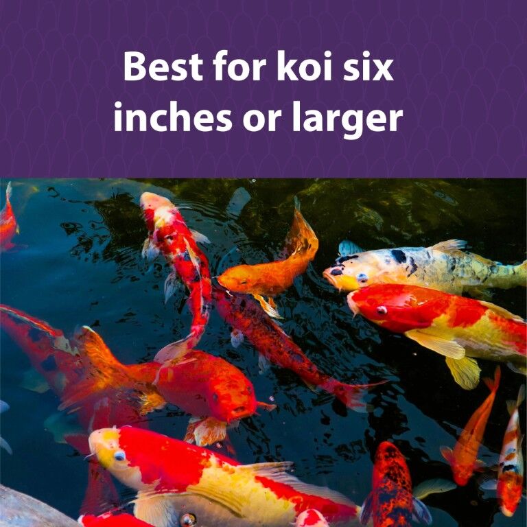 Mazuri Koi Pond Nuggets, 3.5-Lb