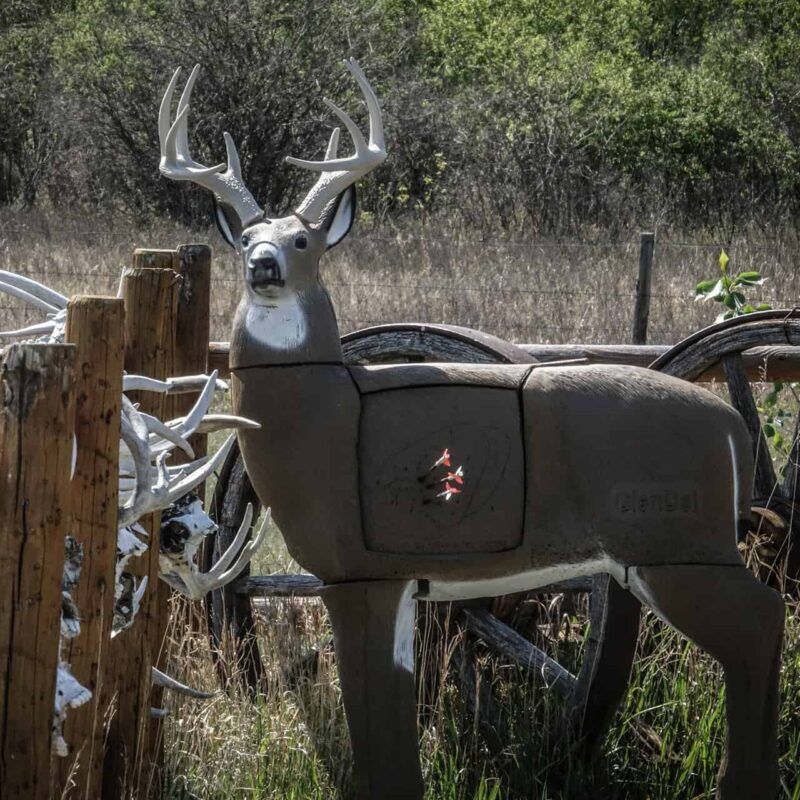 GlenDel Buck Archery Target