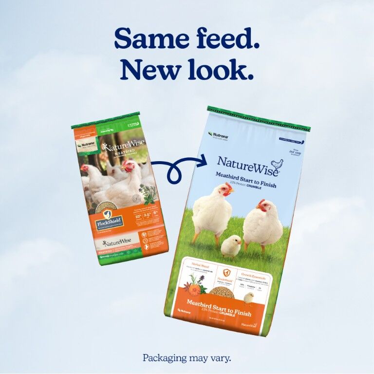 Nutrena NatureWise Meatbird Start To Finish 22% Protein Crumble, 40-Lb