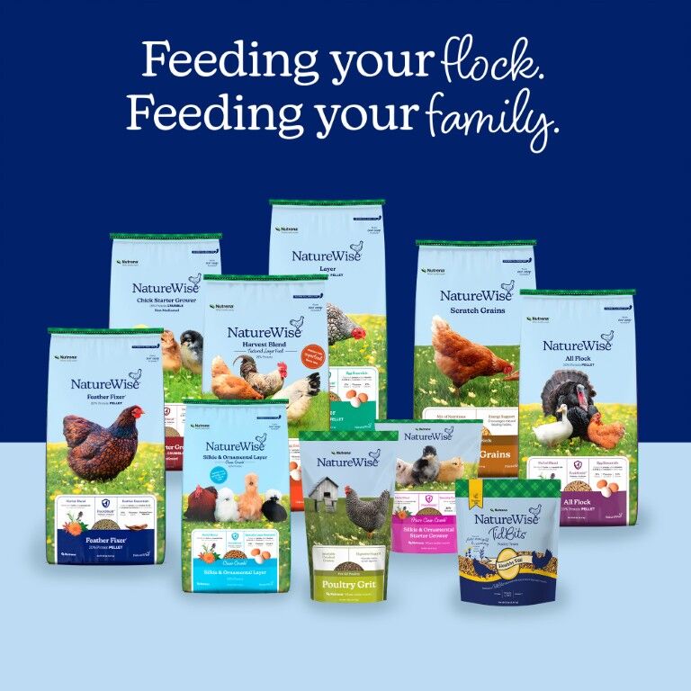 Nutrena NatureWise Poultry Grit, 7-Lb