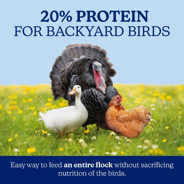 Nutrena NatureWise All Flock 20% Protein Pellet, 40-Lb