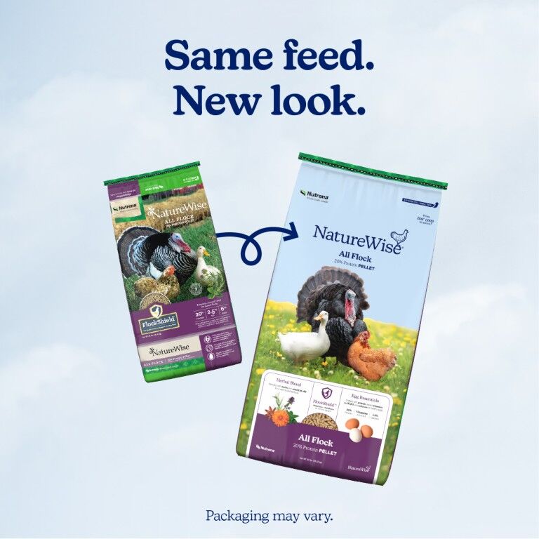 Nutrena NatureWise All Flock 20% Protein Pellet, 40-Lb