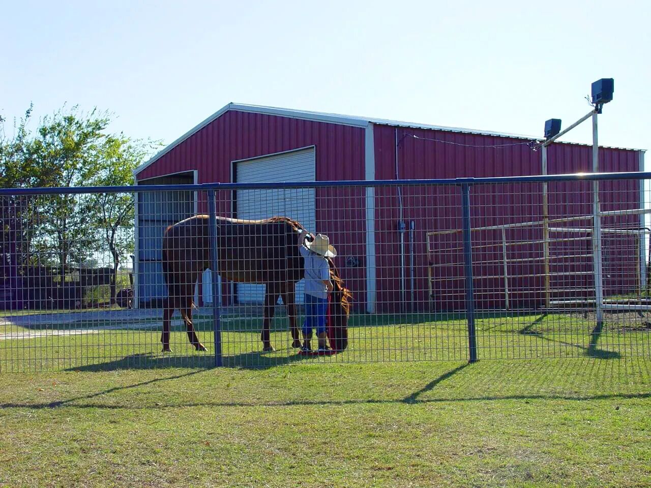 5-Ft x 16-Ft Horse Panel, 6-Ga