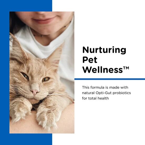 Nutri-Vet Milk Replacer With Opti-Gut For Kittens, 12-Oz