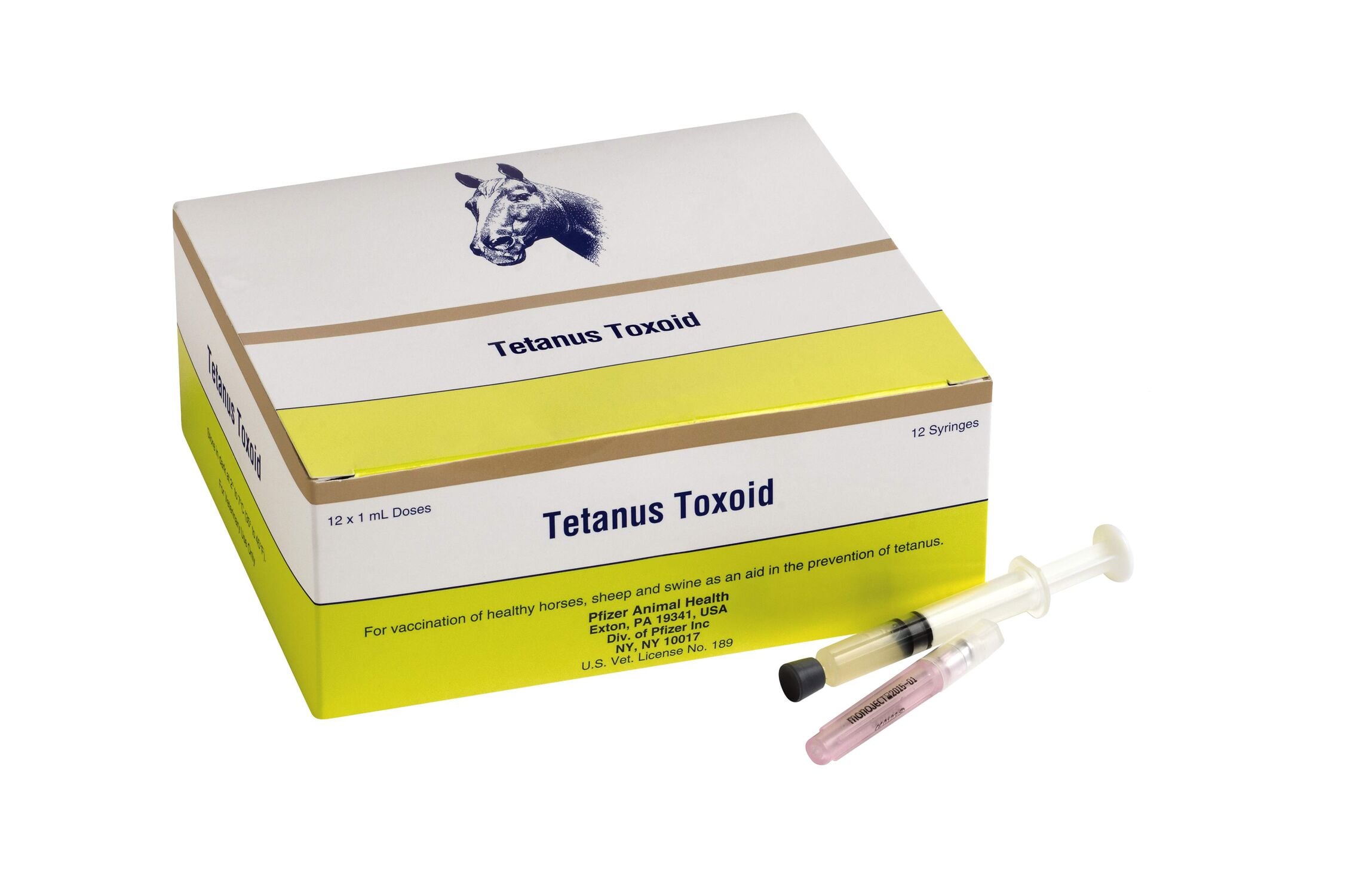 Tetanus Toxoid