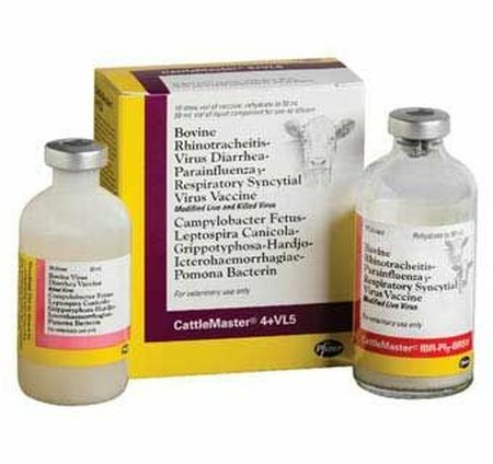 Bovine Rhinotracheitis-Virus Diarrhea-Parainfluenza3-Respiratory Syncytial Virus Vaccine