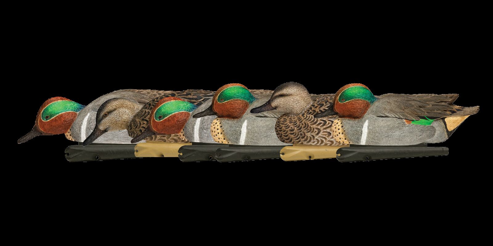 Avian-X Topflight Green-Winged Teal Decoys, 6-Pk