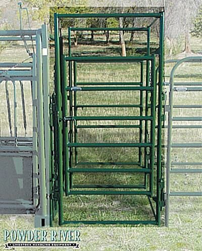 Value Pregnancy Test Gate