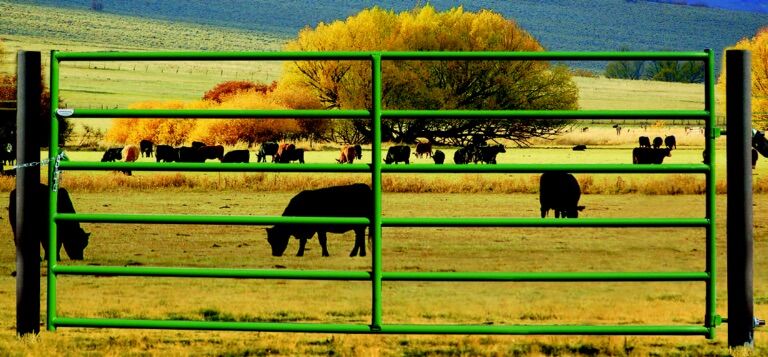 Powder River 4-Ft x 60-In Rancher Gate in Green
