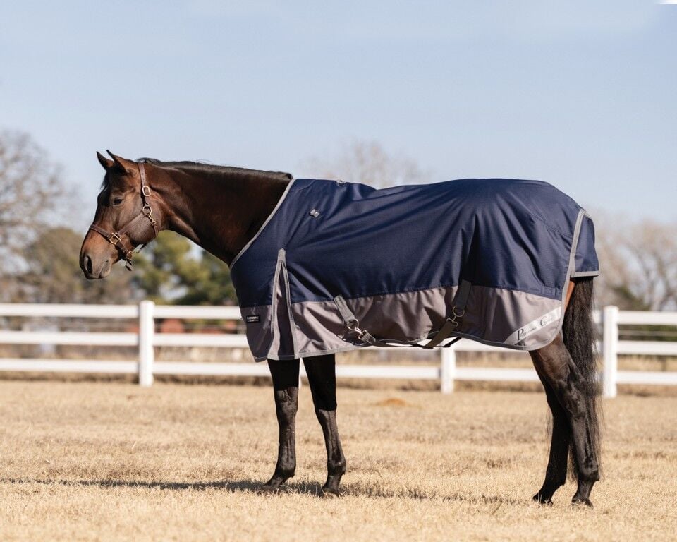 Professional's Choice Equisential 600D Navy Silver Winter Turnout Blanket, 78-In