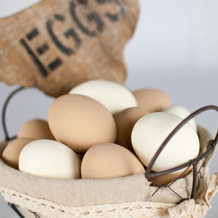 Happy Hen White Ceramic Nest Eggs, 2-Pk