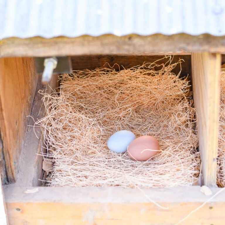 Happy Hen White Ceramic Nest Eggs, 2-Pk