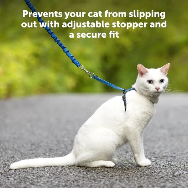 PetSafe Come With Me Kitty Cat Harness & Bungee Leash