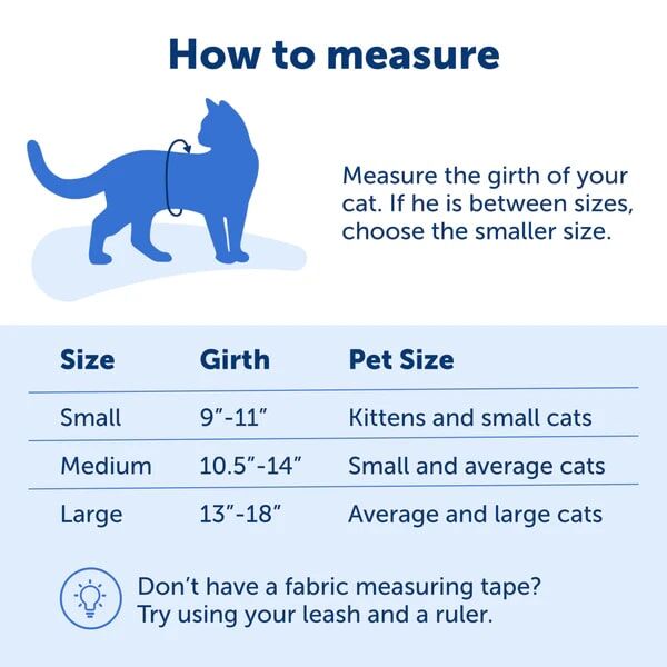 PetSafe Come With Me Kitty Cat Harness & Bungee Leash