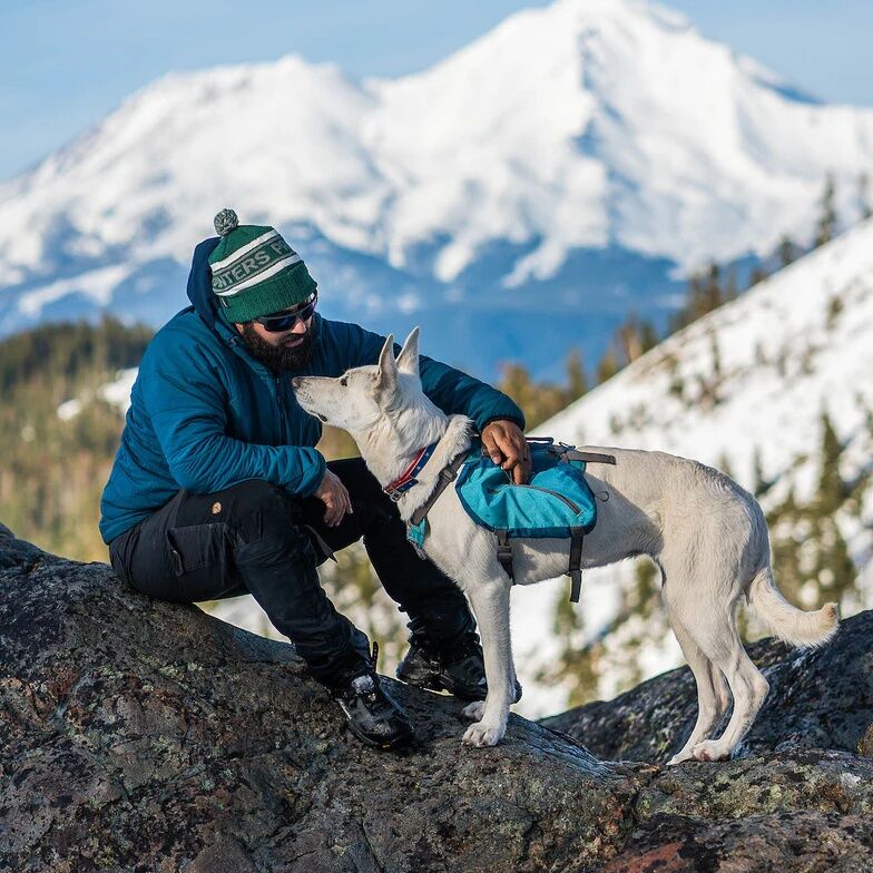 Kurgo Big Baxter Orange Dog Backpack