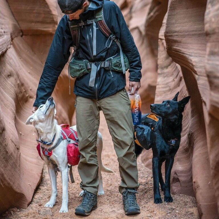 Kurgo Big Baxter Orange Dog Backpack