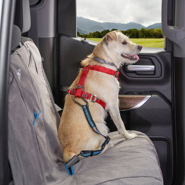 Kurgo Direct to Seatbelt Tether