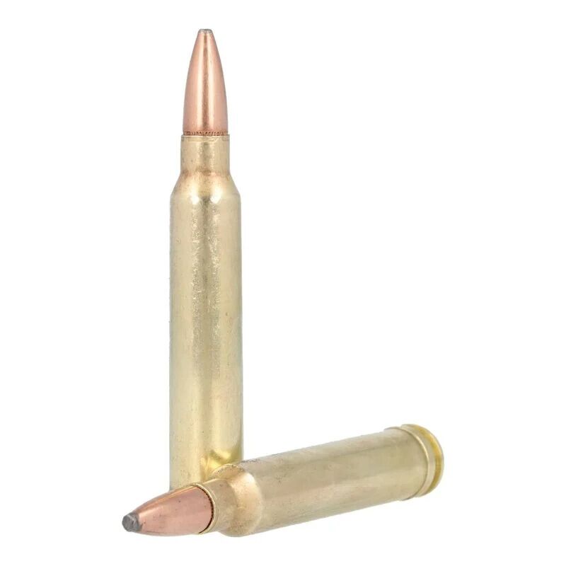 Remington Core-Lokt 300 Win Mag 180 Grain Pointed Soft Point Core Ammunition, 20-Rd
