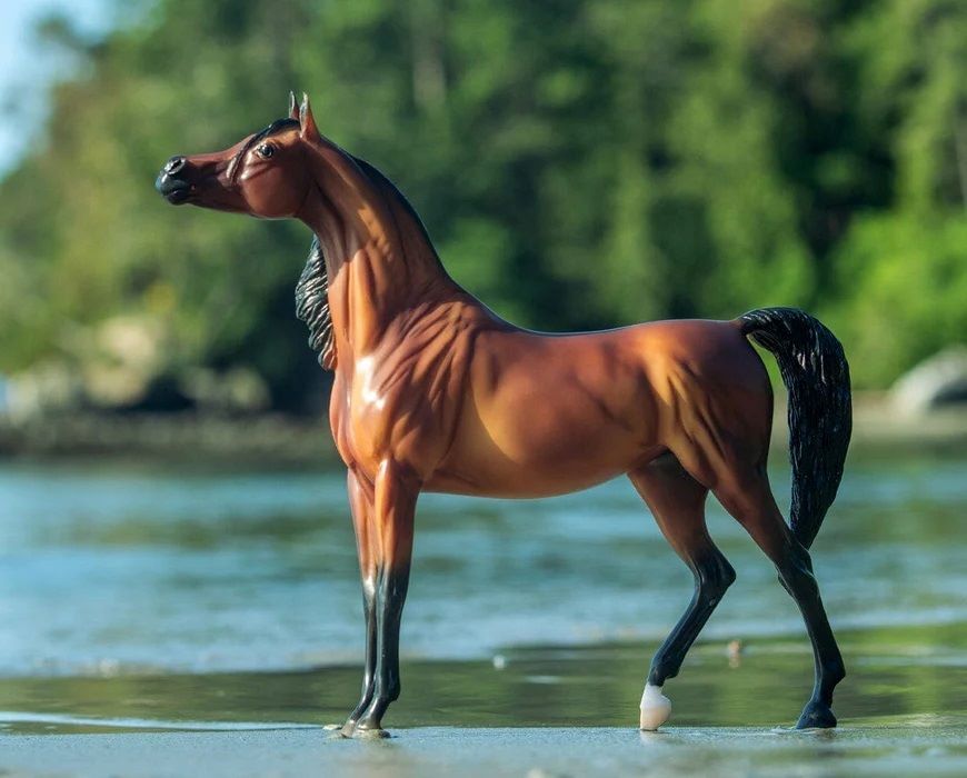 Breyer RD Marciea Bey Champion Arabian Mare Toy