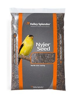 Nyjer Seed 4-lb Bag Wild Bird Food