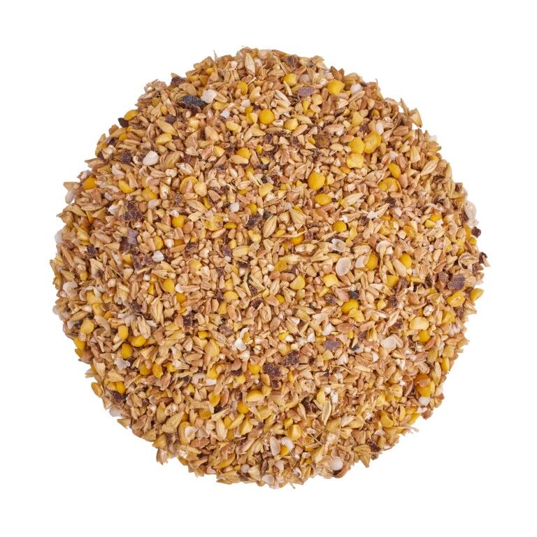 Scratch & Peck Feeds Organic Starter Mash, 10-Lb