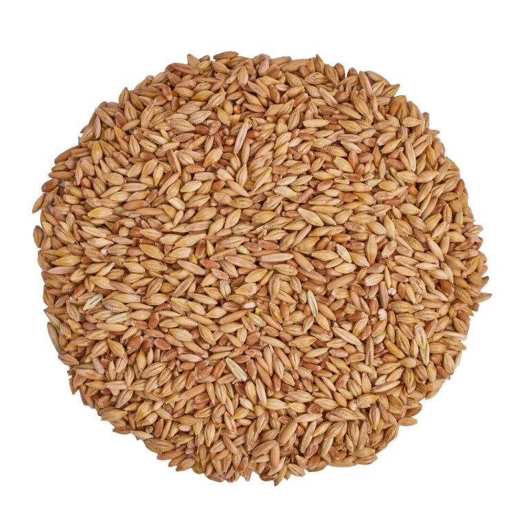 Scratch & Peck Feeds Organic 3-Grain Scratch, 40-Lb