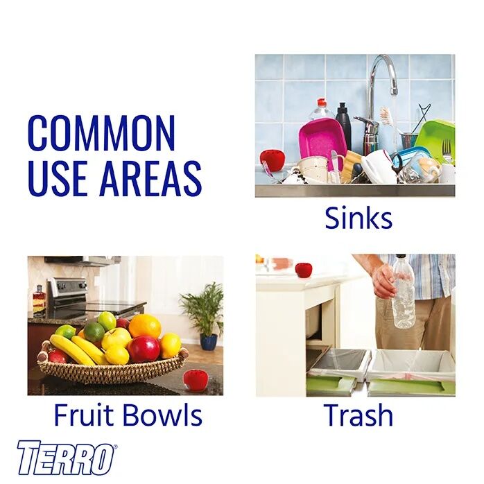 TERRO Fruit Fly Trap, 2-Pk
