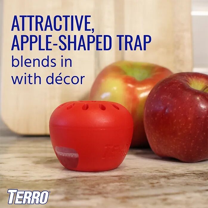 TERRO Fruit Fly Trap, 2-Pk