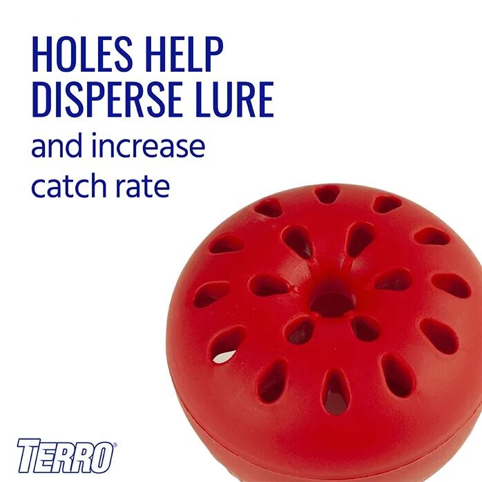 TERRO Fruit Fly Trap, 2-Pk