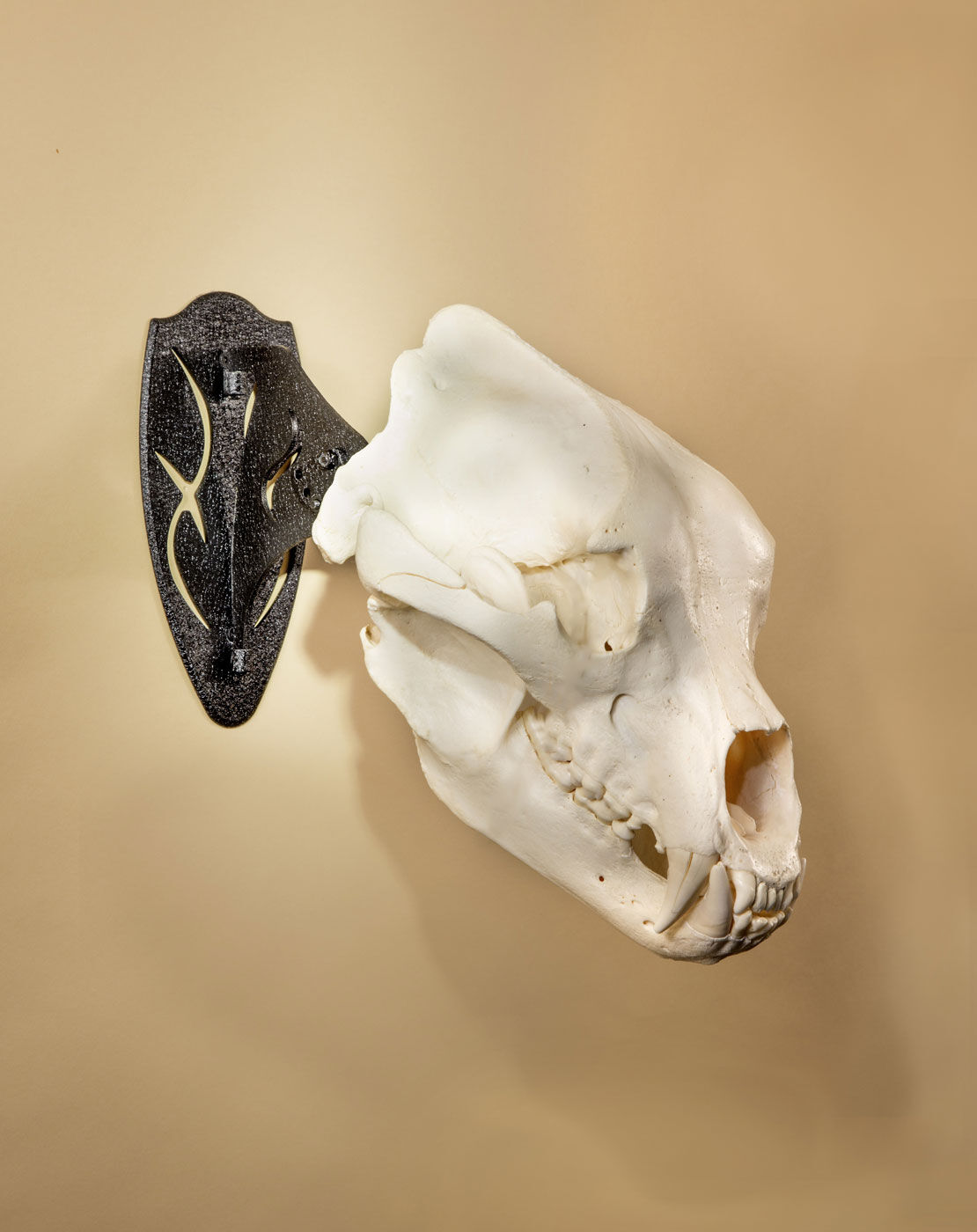 Skull Hooker Big Hooker Short Arm