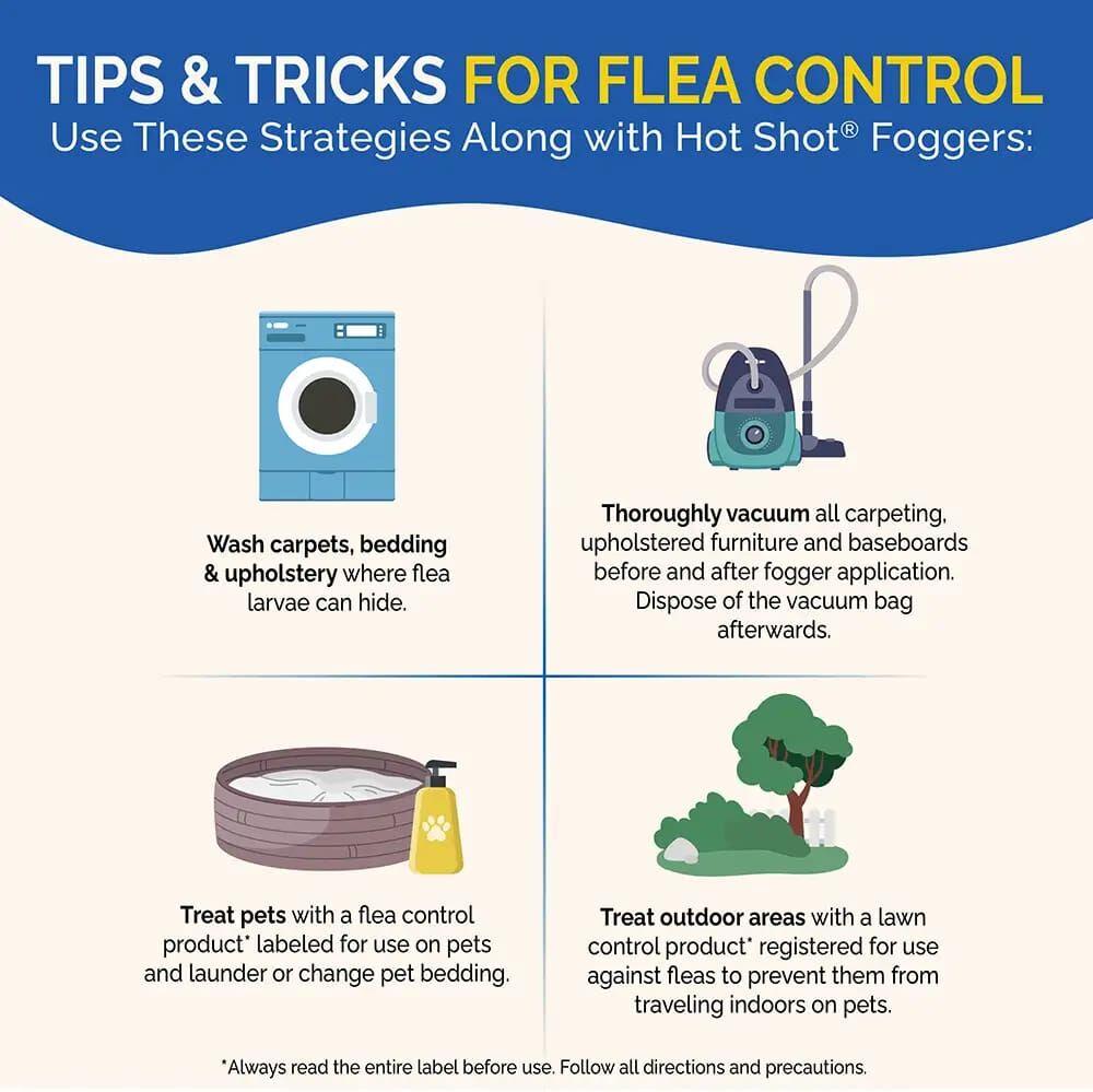 Hot Shot No-Mess! Insect Fogger With Odor Neutralizer, 3-Pk