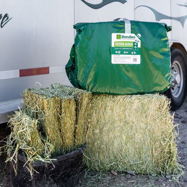 Standlee Premium Western Forage Certified Alfalfa Grab & Go Compressed Hay Bale, 50-Lb