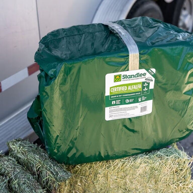Standlee Premium Western Forage Certified Alfalfa Grab & Go Compressed Hay Bale, 50-Lb
