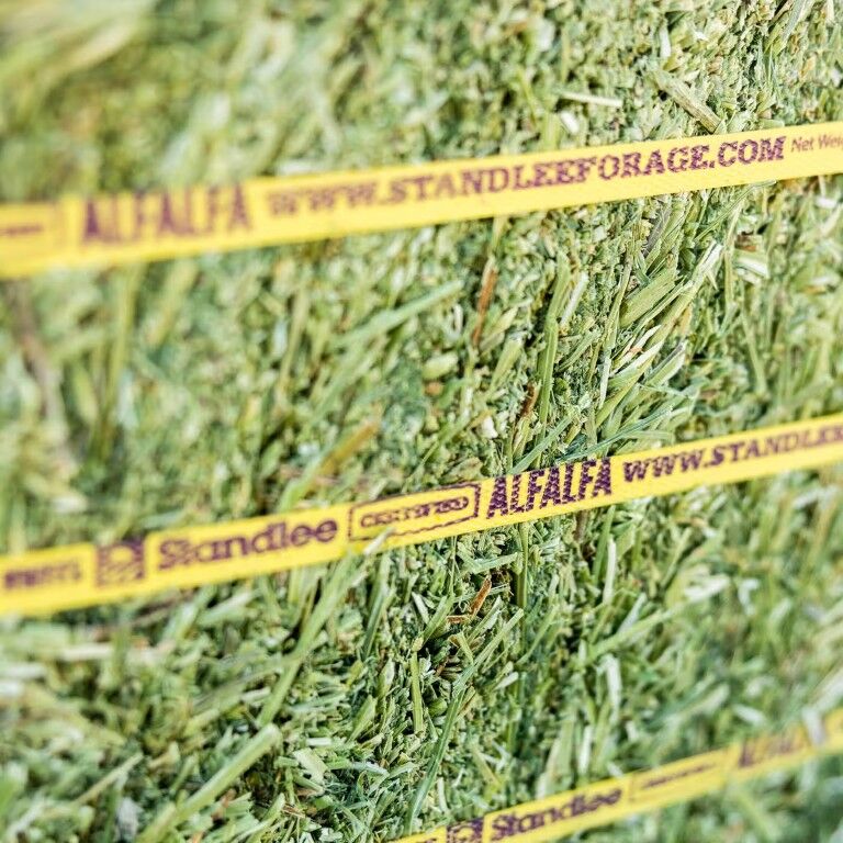 Standlee Premium Western Forage Certified Alfalfa Grab & Go Compressed Hay Bale, 50-Lb