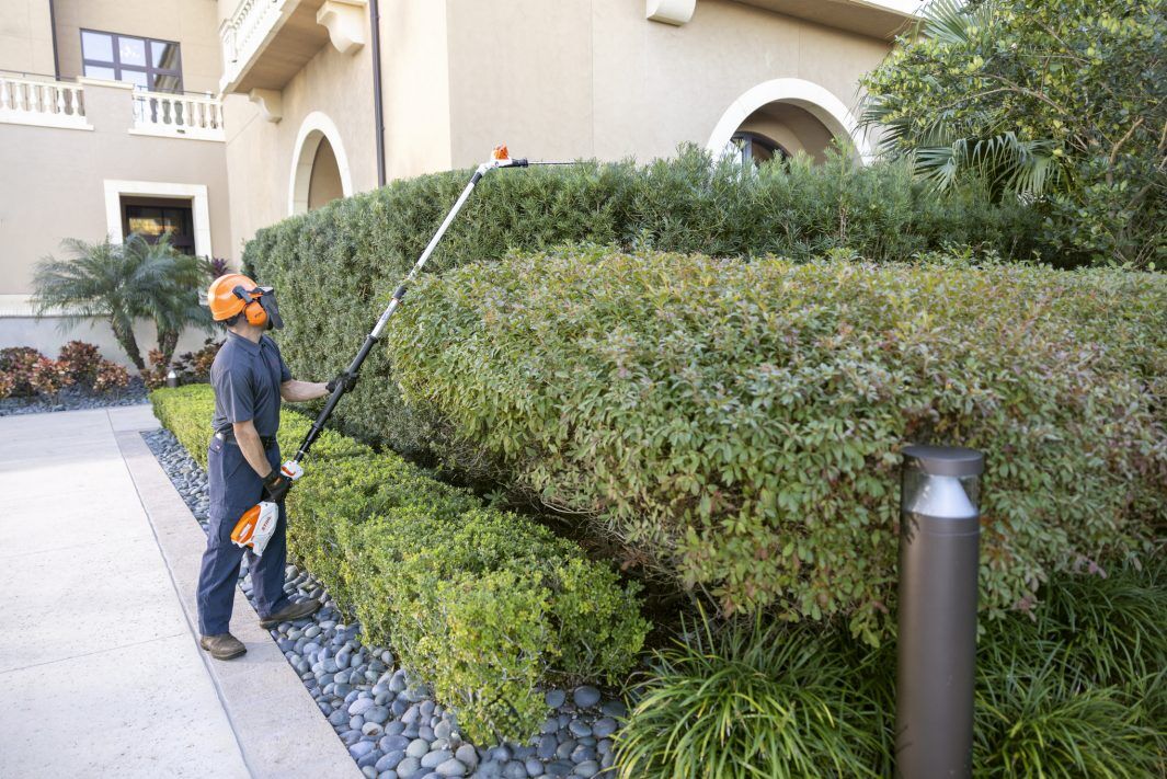 STIHL HLA 86 Battery Powered Extended-Reach Hedge Trimmer (Tool Only)