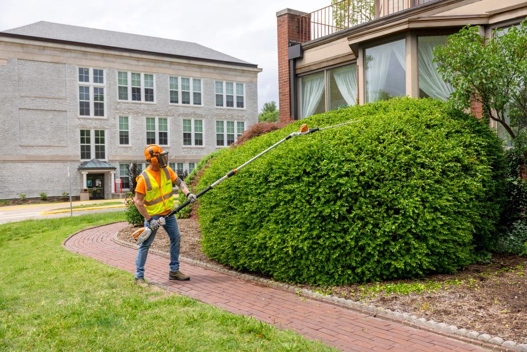 STIHL HLA 86 Battery Powered Extended-Reach Hedge Trimmer (Tool Only)