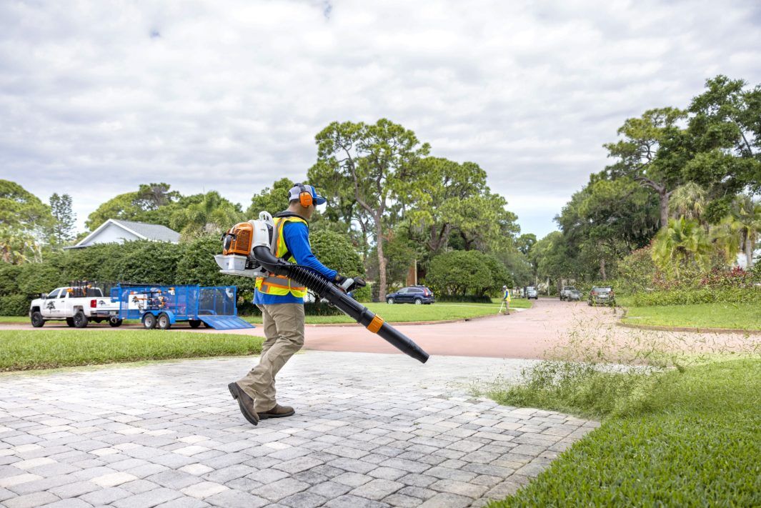 STIHL BR 450 C-EF Gas Backpack Blower