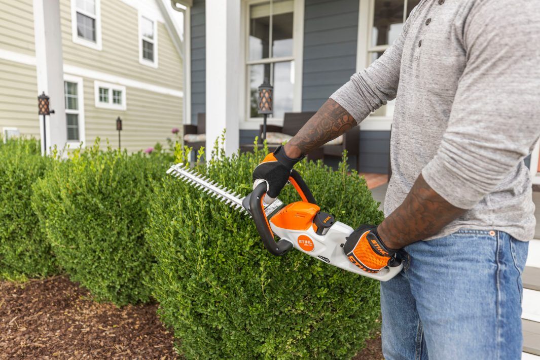 STIHL HSA 30 Battery Powered Hedge Trimmer Kit, 18 in.