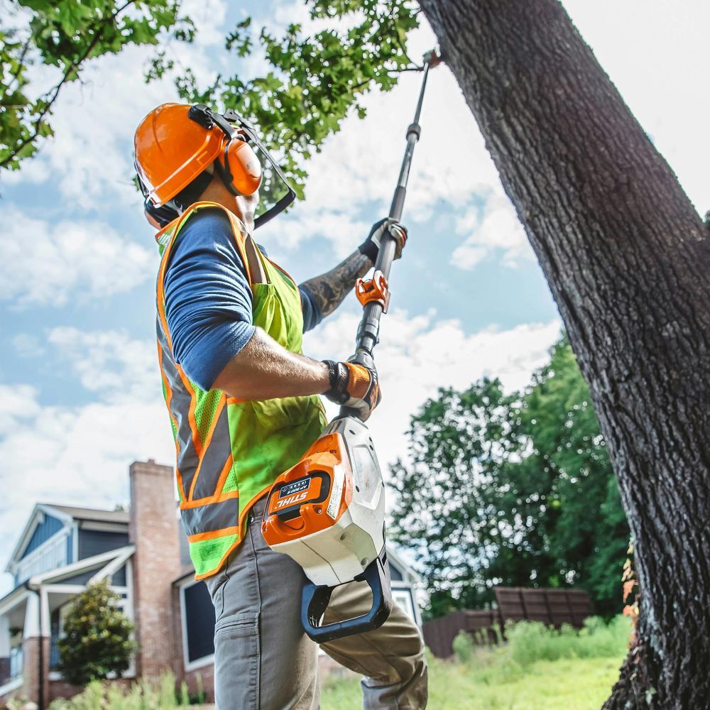STIHL HTA 135 10 in. Battery Powered Pole Pruner (Tool Only)