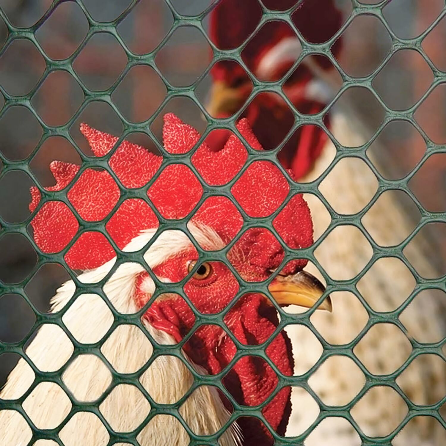 Tenax Poultry Fence 2' X 25' Green 72120942