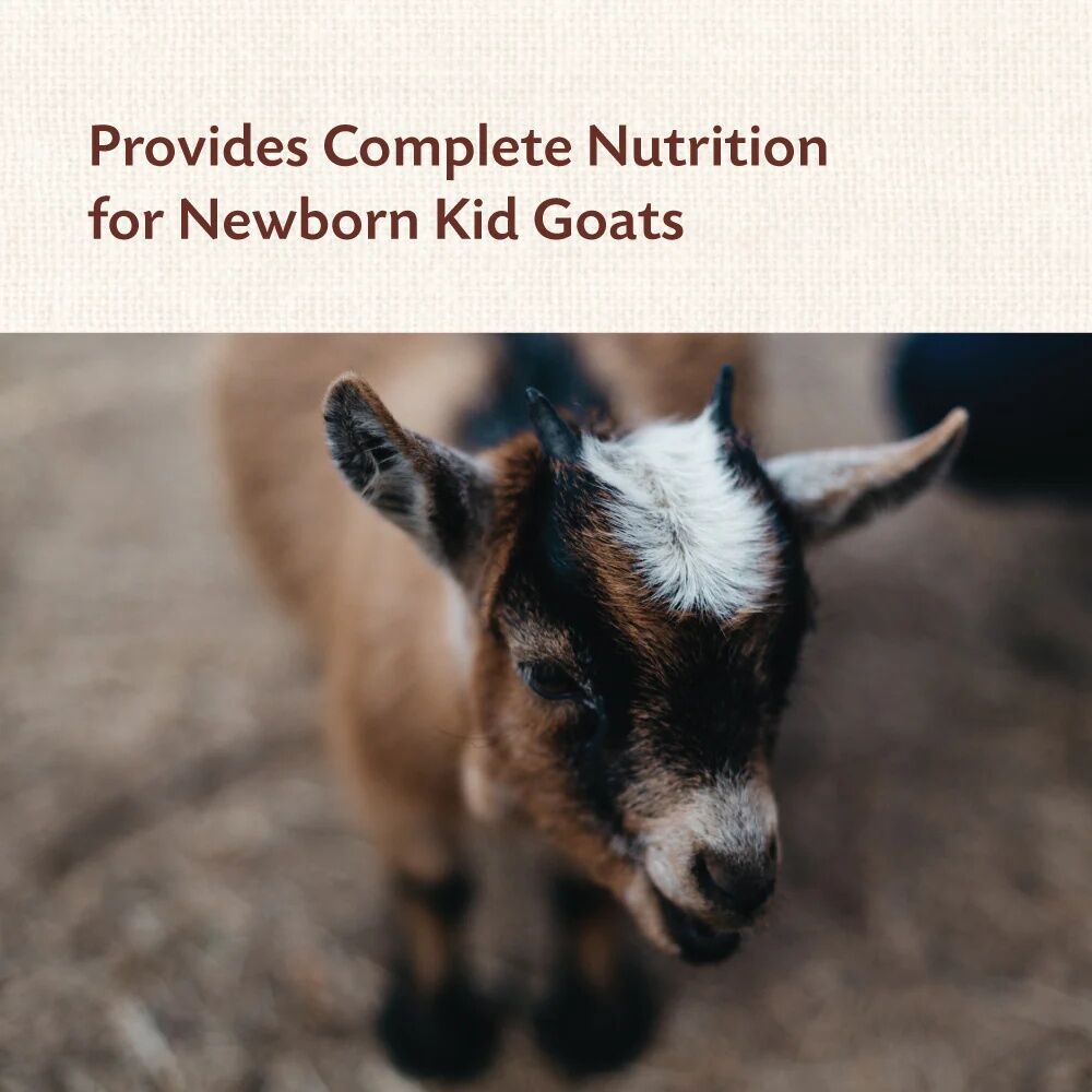 Manna Pro Kid Colostrum Supplement, 8-Oz
