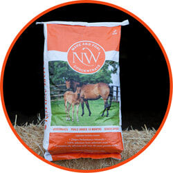Northwest Mare and Foal Concentrate