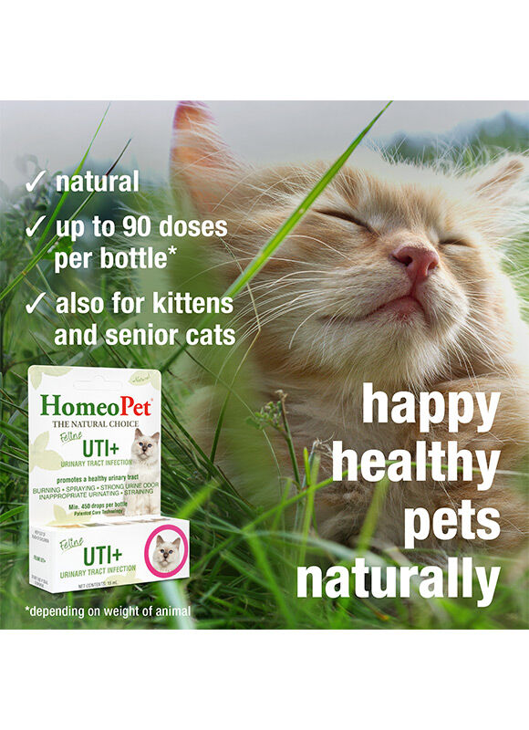 HomeoPet Feline UTI+ Medicine, 15-mL