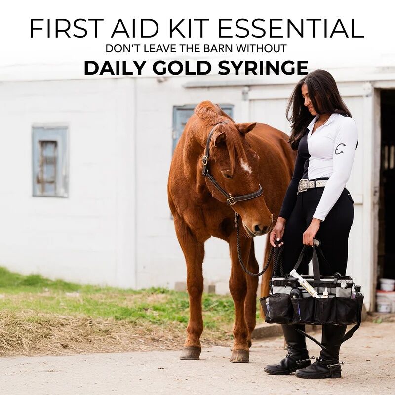 Daily Gold Paste Digestive Equine Stress Relief, 60-cc