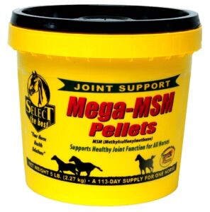 Mega Msm™ Pellets