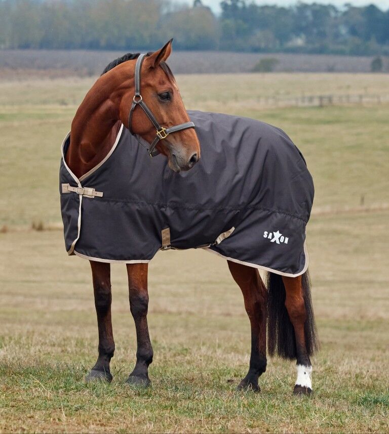 Weatherbeeta Black Saxon Defiant 1200D Standard Neck Medium Turnout Blanket, 81-In