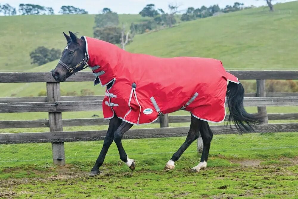 Weatherbeeta ComFiTec Red/Silver/Navy Classic Combo Neck Lite, 69-In