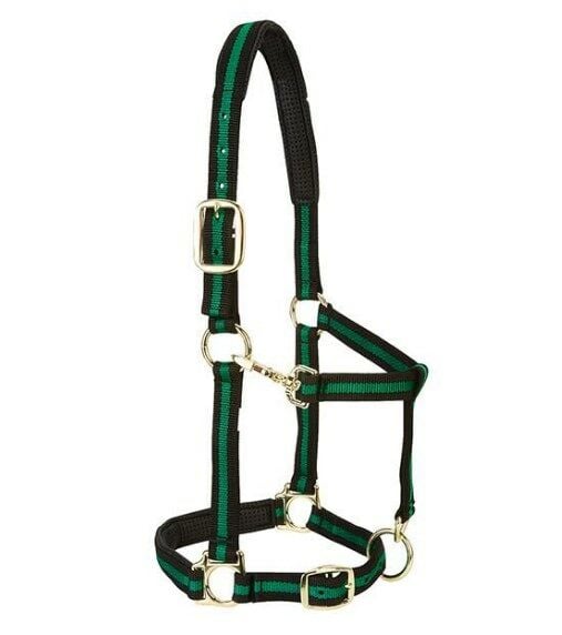 Padded Adjustable Chin and Throat Snap Halter, Green, 1" Average Horse or Yearling Draft