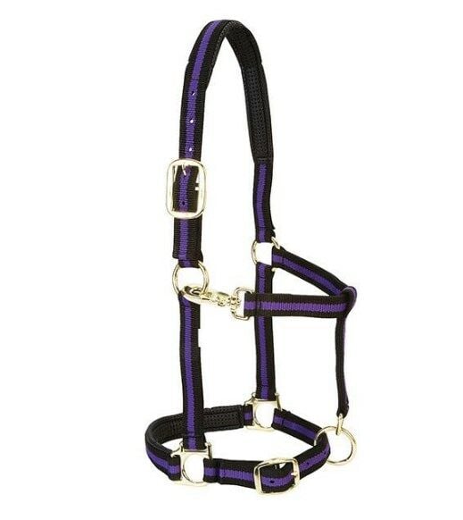 Padded Adjustable Chin and Throat Snap Halter, Purple, 1" Average Horse or Yearling Draft