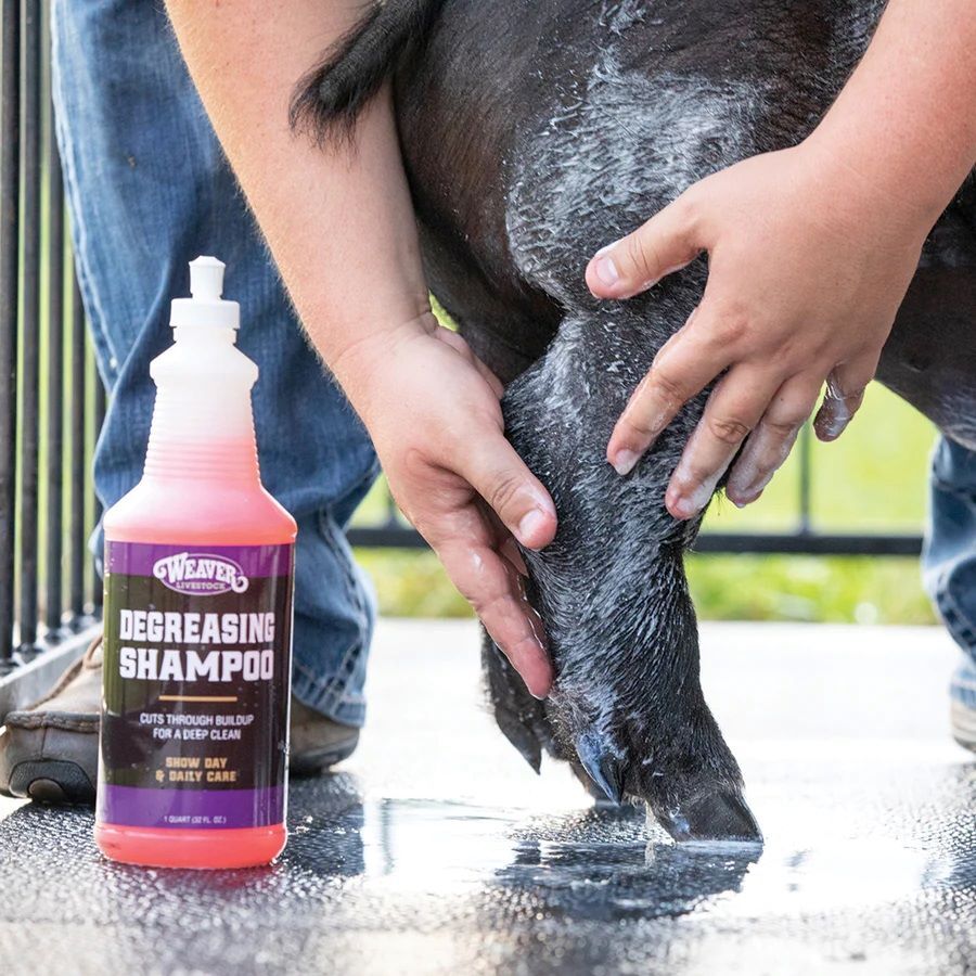 Degreasing Shampoo, Quart